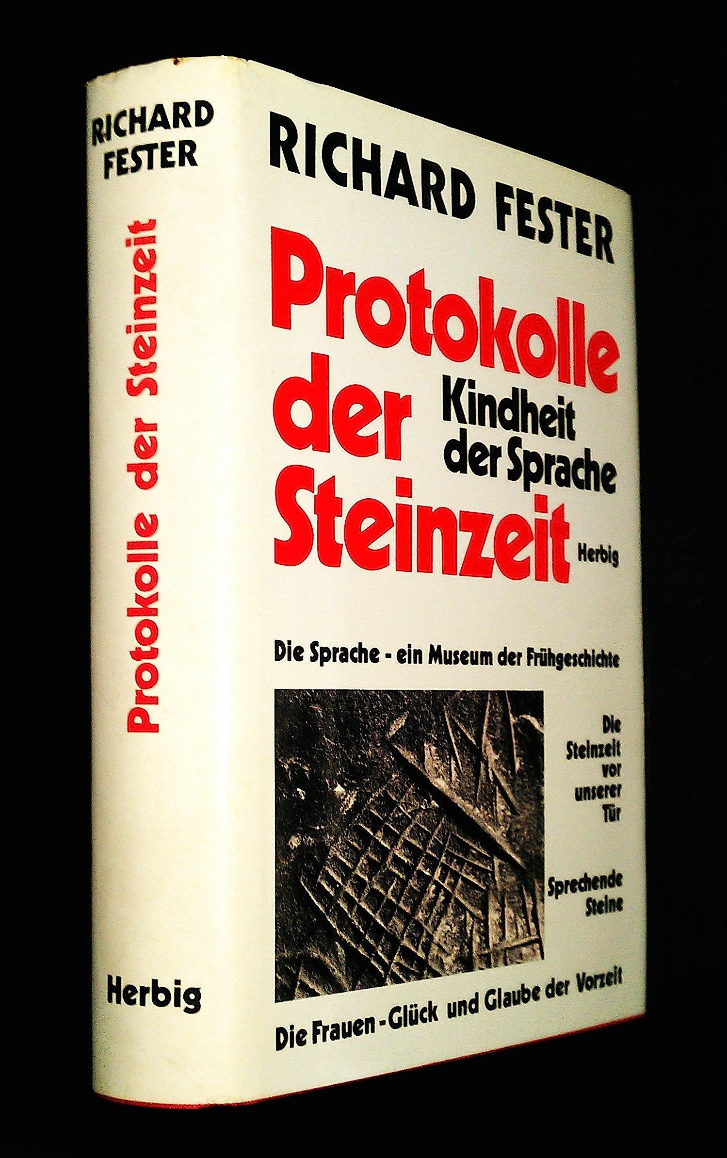 Protokolle der Steinzeit. Kindheit der Sprache Social Sciences Books