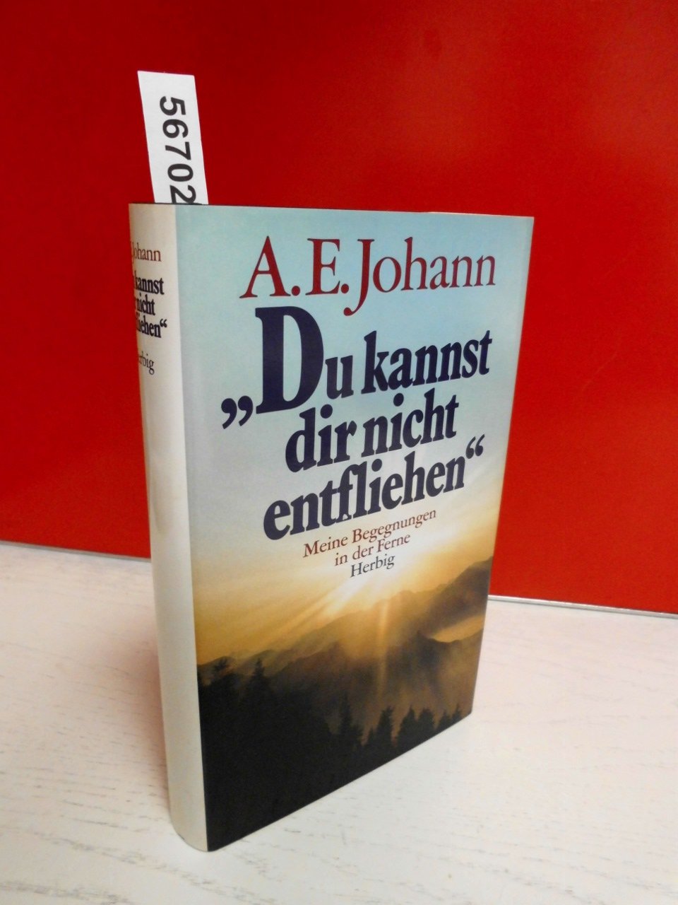 Du kannst dir nicht entfliehen: Meine Begegnungen in der Ferne Travelogues