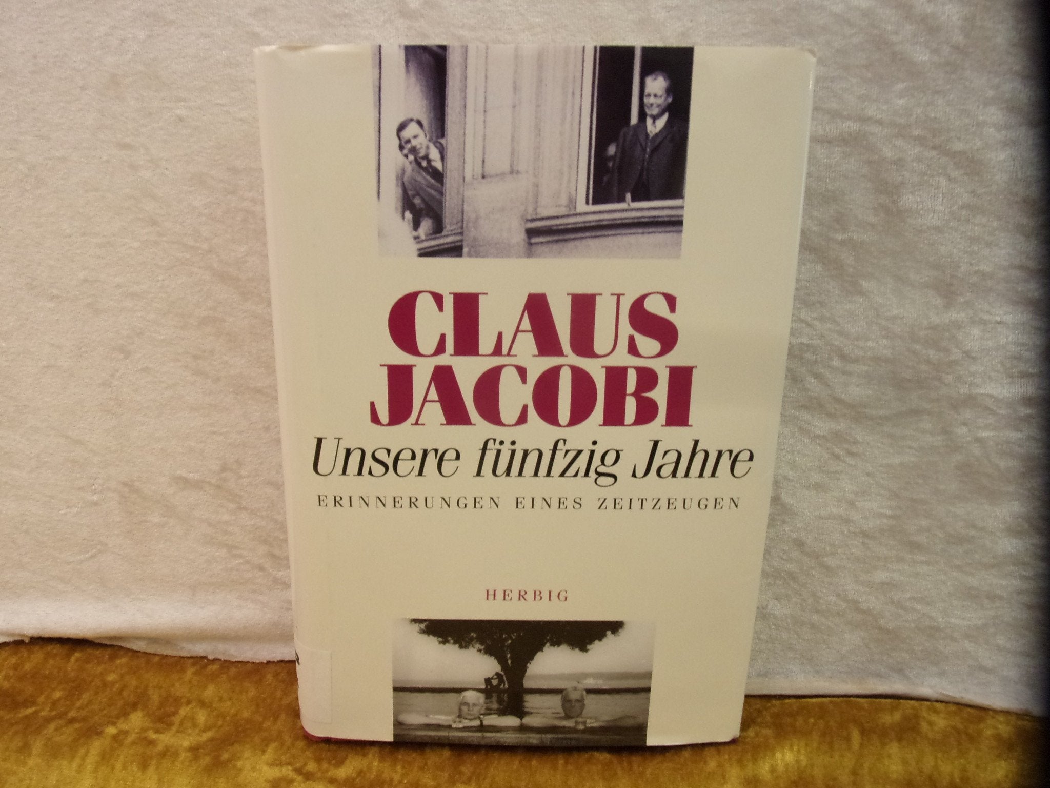 Meine fünfzig Jahre: Eine ganz persönliche Zeitgeschichte 1949-1999 Politics & Society