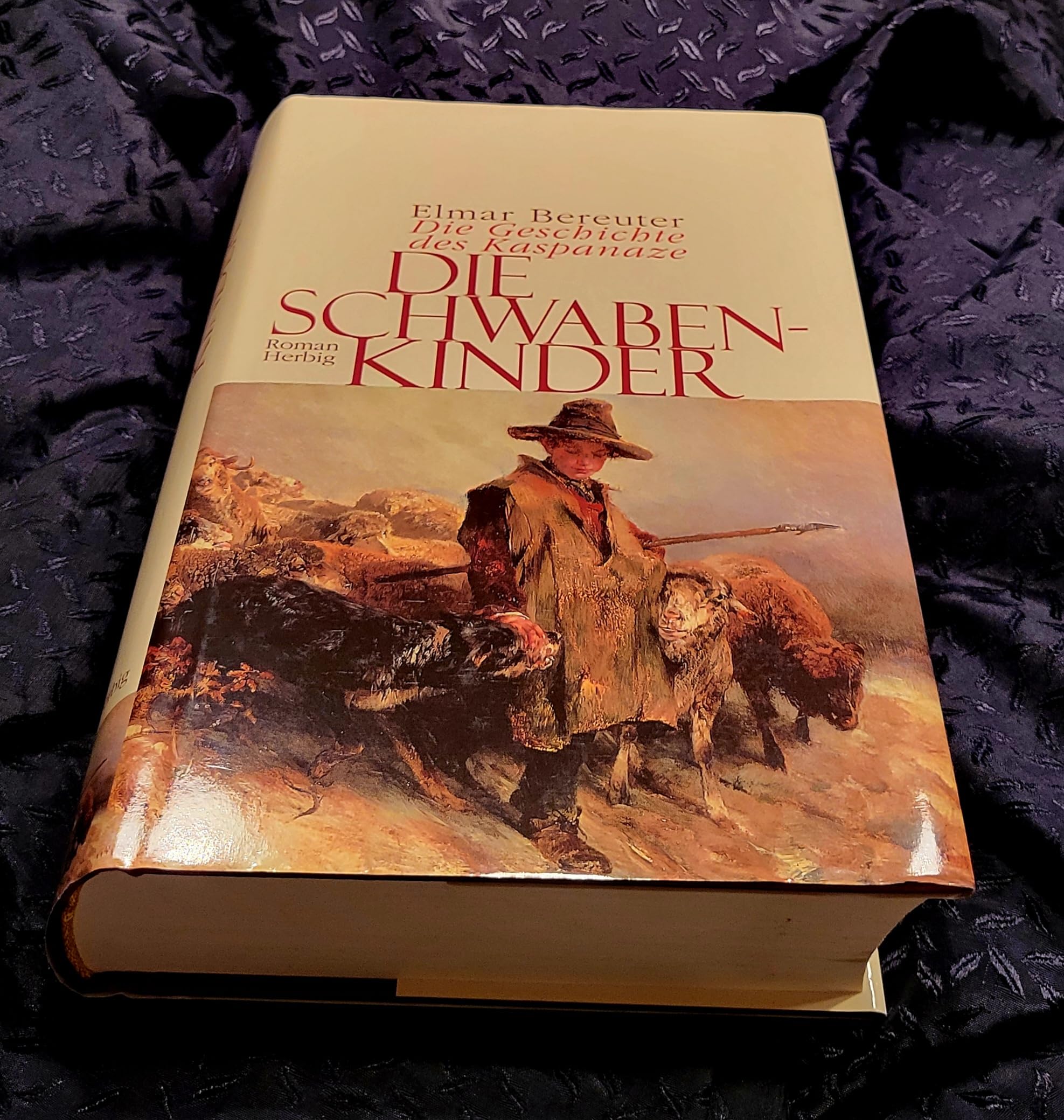 Die Schwabenkinder: Die Geschichte des Kaspanaze Classics