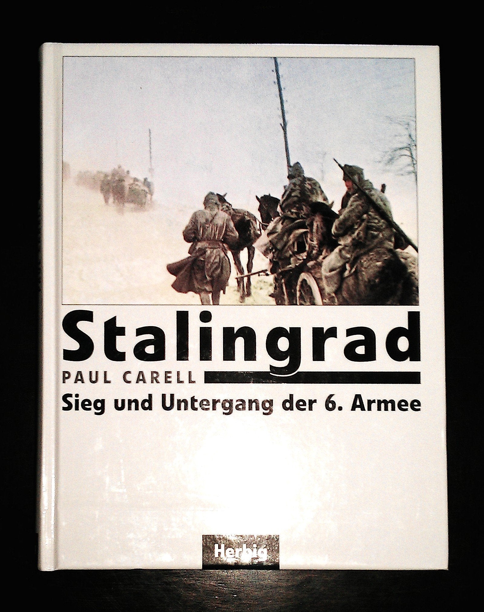 Stalingrad: Sieg und Untergang der 6. Armee Politics & History