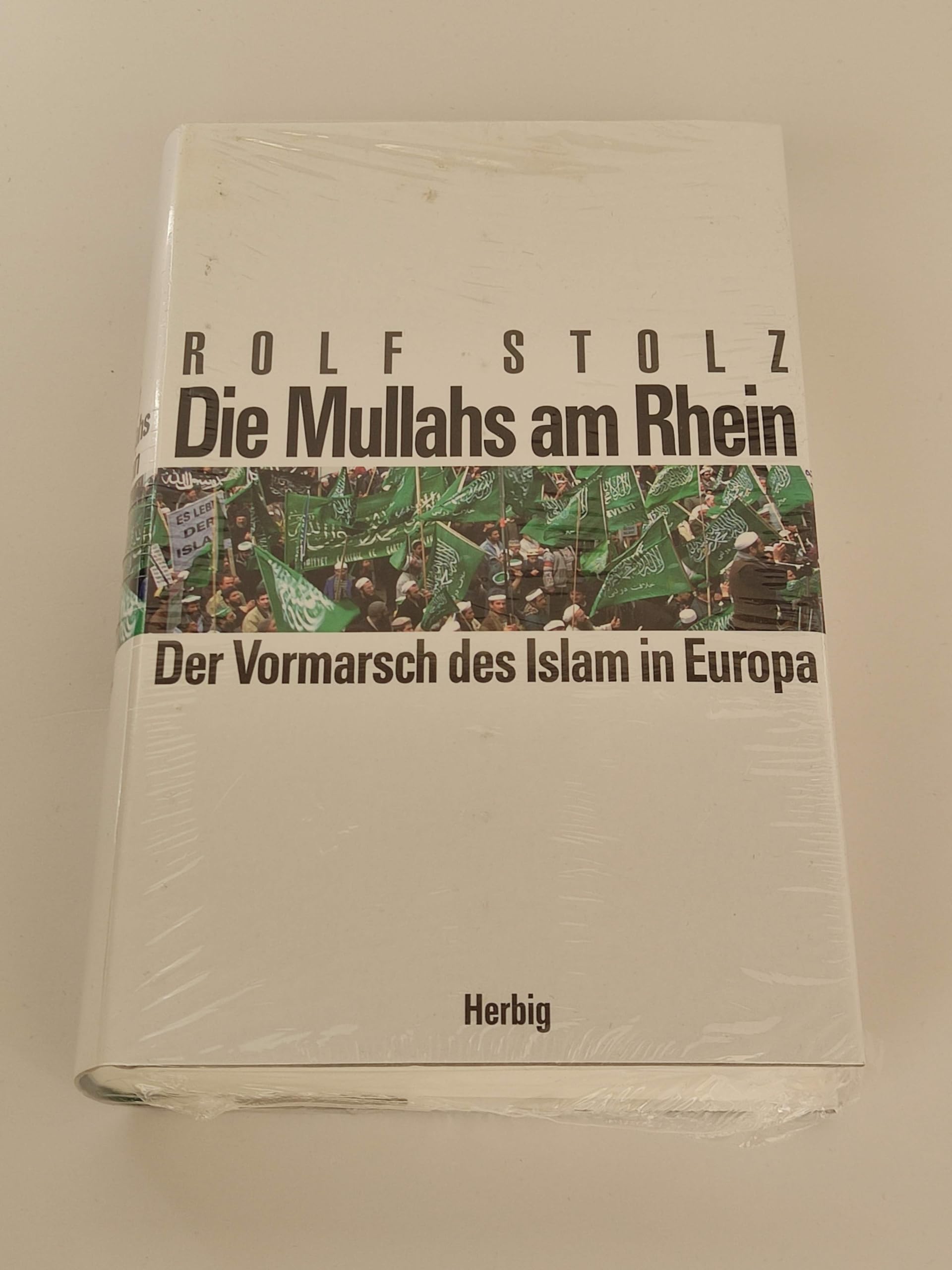 Die Mullahs am Rhein: Der Vormarsch des Islam in Europa Politics & History