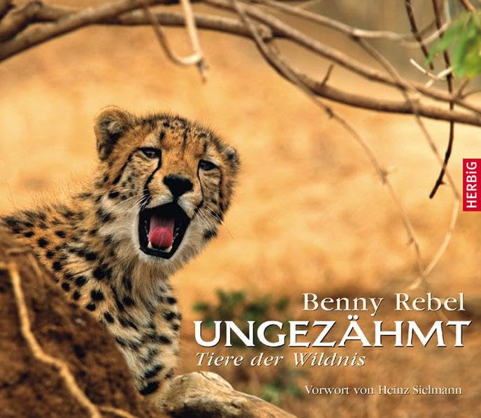 Ungezähmt Essays & Short Stories