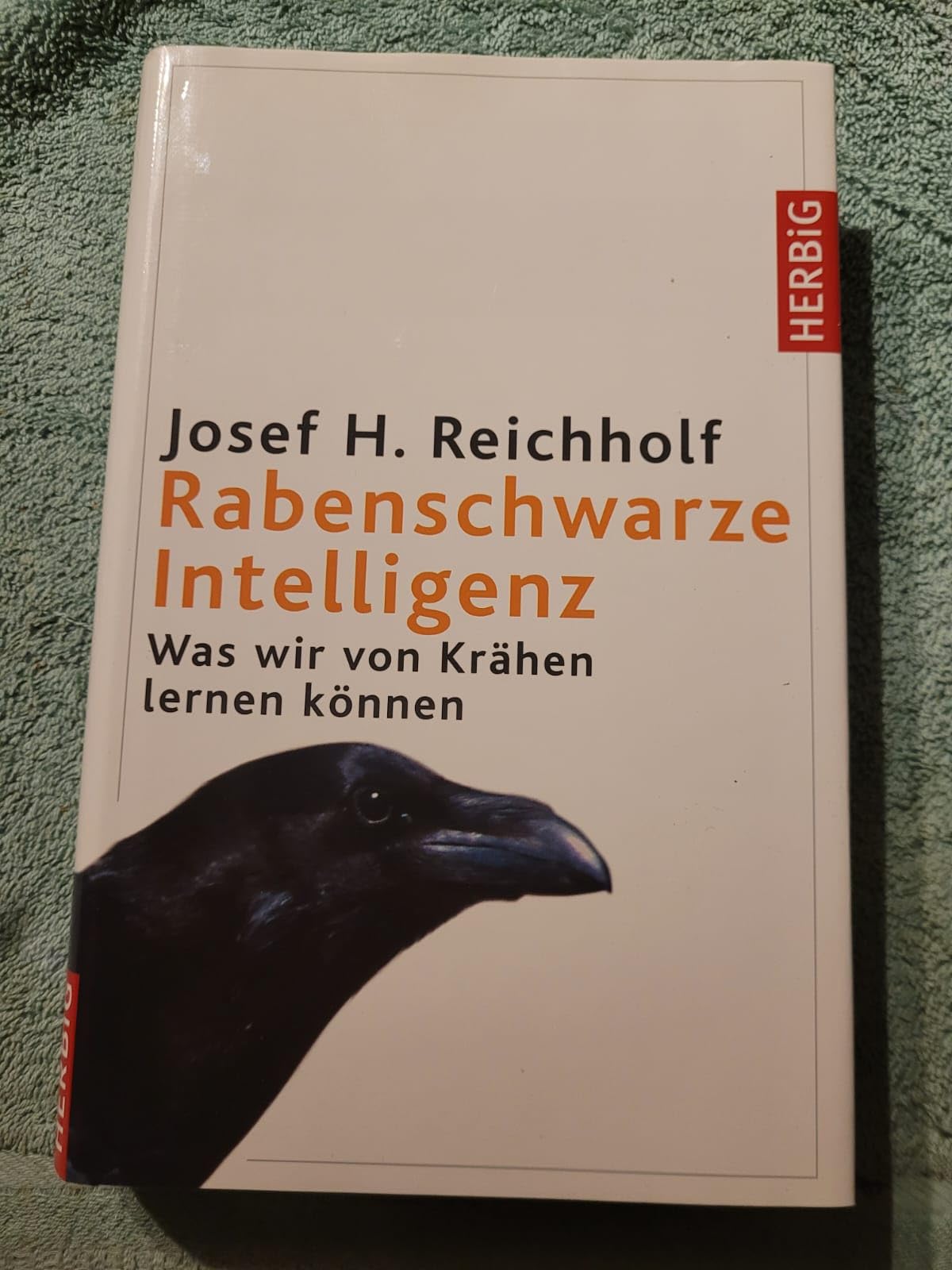 Rabenschwarze Intelligenz Leisure, Home & Garden Books