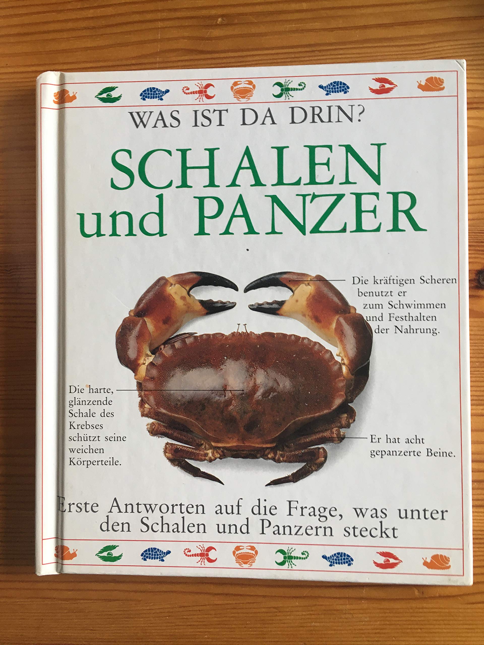 Schalen und Panzer: Erste Antworten auf die Frage, was unter den Schalen und Panzern steckt Natural Sciences