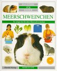 Haustiere für Kinder. Meerschweinchen Books
