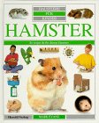 Product Image: Haustiere für Kinder, Hamster