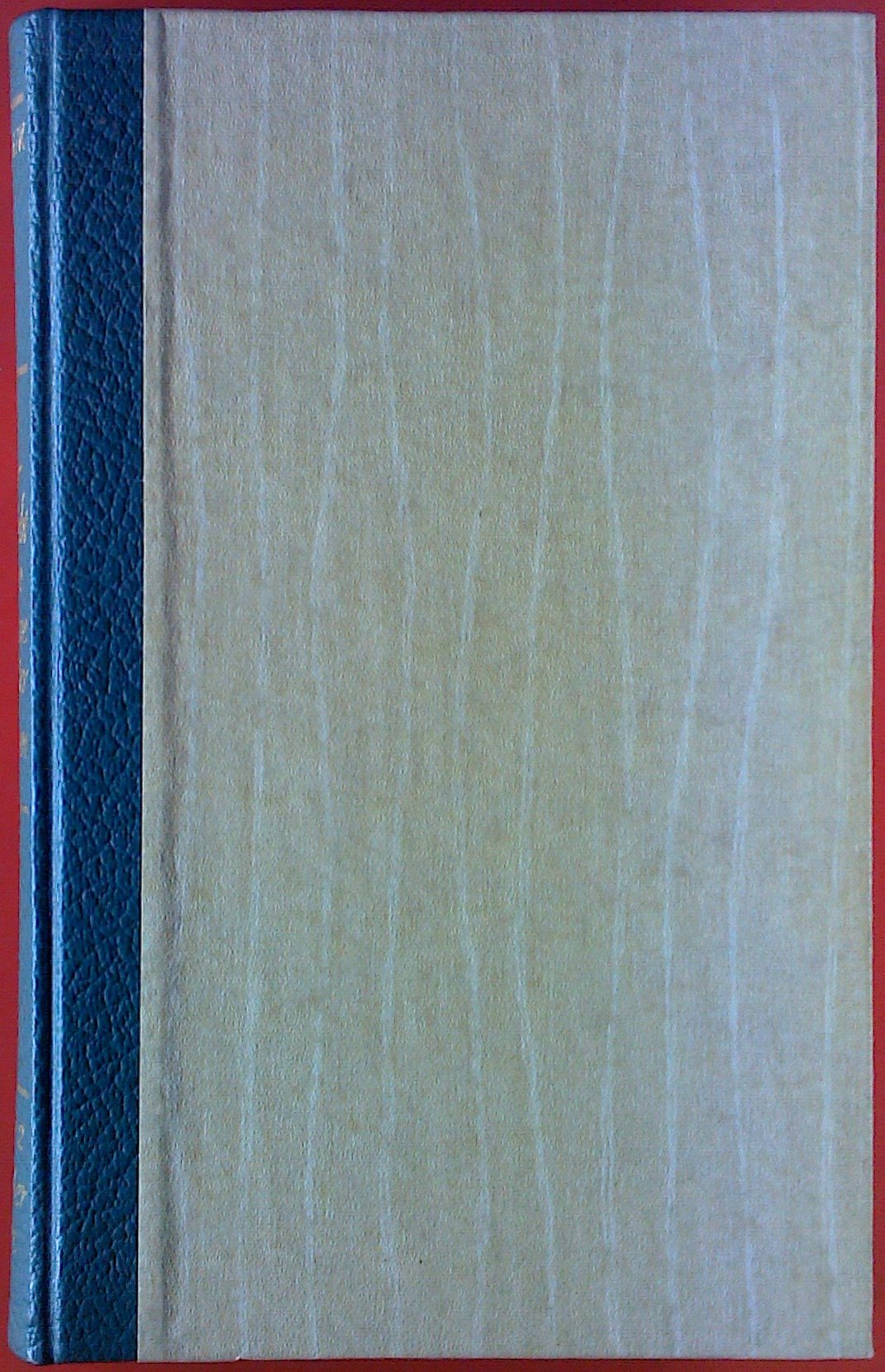 Wer stirbt schon gerne unter Palmen II. Der Sohn Contemporary literature