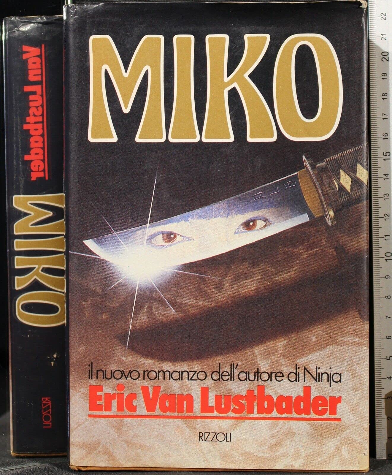 Die Miko. Roman Fantasy & Sci-Fi Books