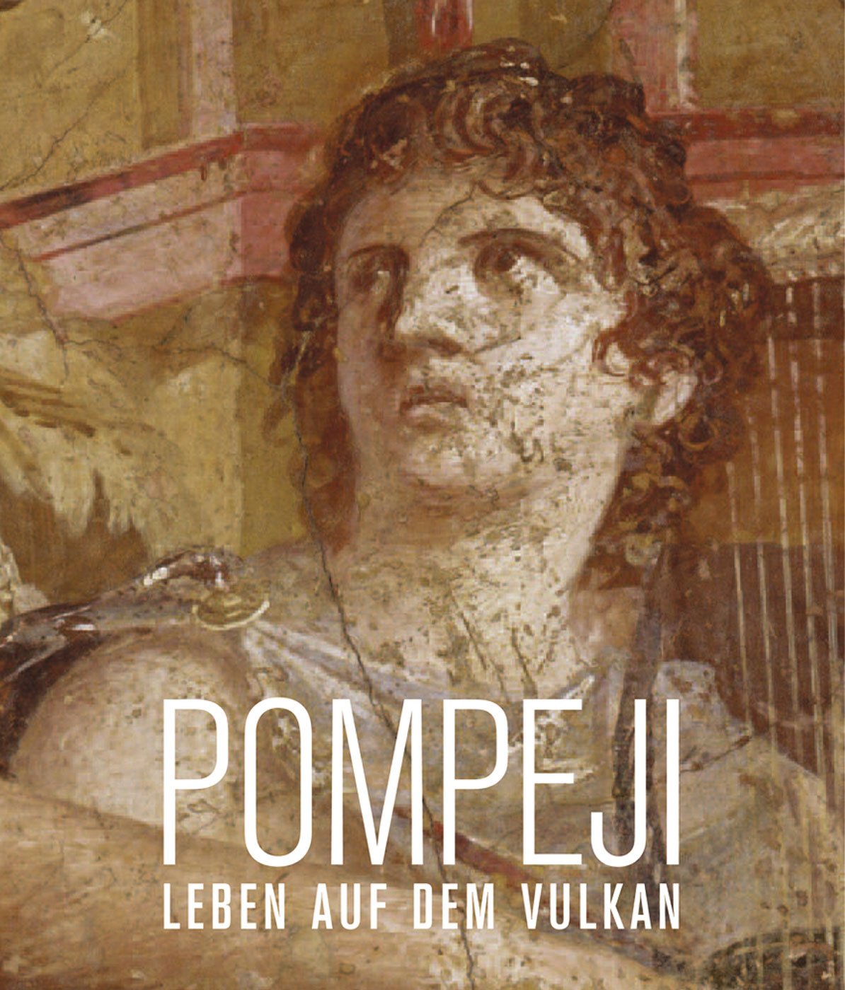 Pompeji. Leben auf dem Vulkan: Katalog zur Ausstellung München 2013 – 2014: Katalog zur Ausstellung in der Kunsthalle der Hypo-Kulturstiftung München, 2013-2014 Film, Art & Culture