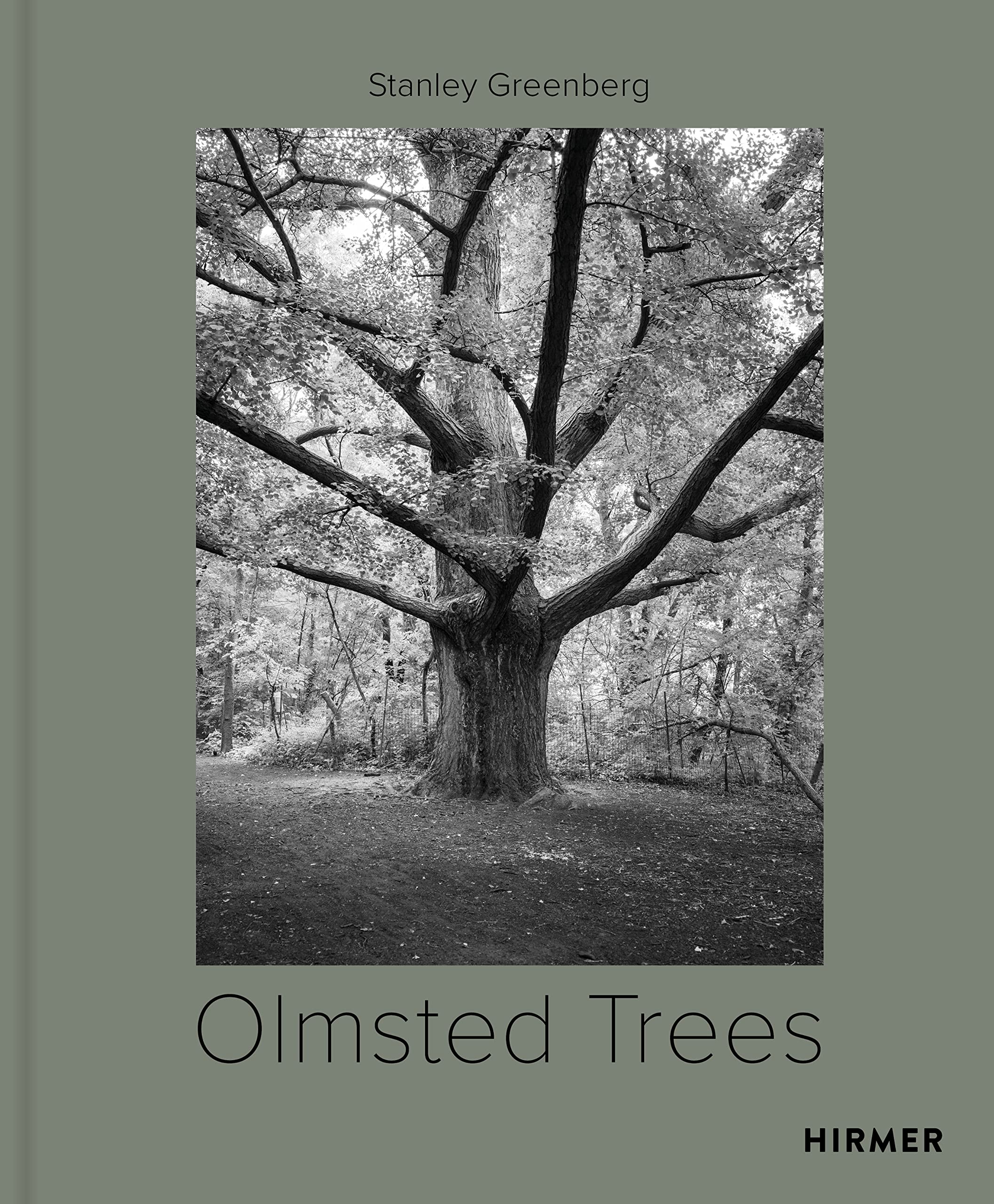 Product Image: Olmsted Trees: Stanley Greenberg
