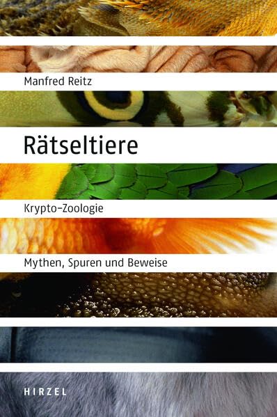 Rätseltiere Architecture