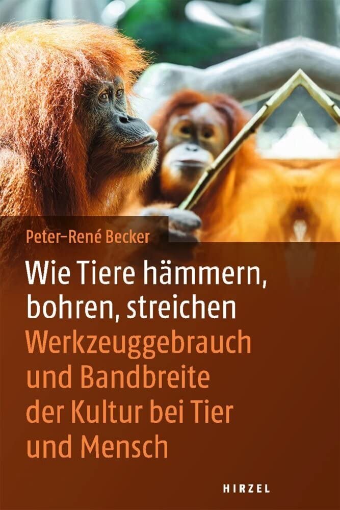 Wie Tiere hämmern, bohren, streichen: Werkzeuggebrauch im Tierreich: Werkzeuggebrauch und Bandbreite der Kultur bei Tier und Mensch Natural Sciences