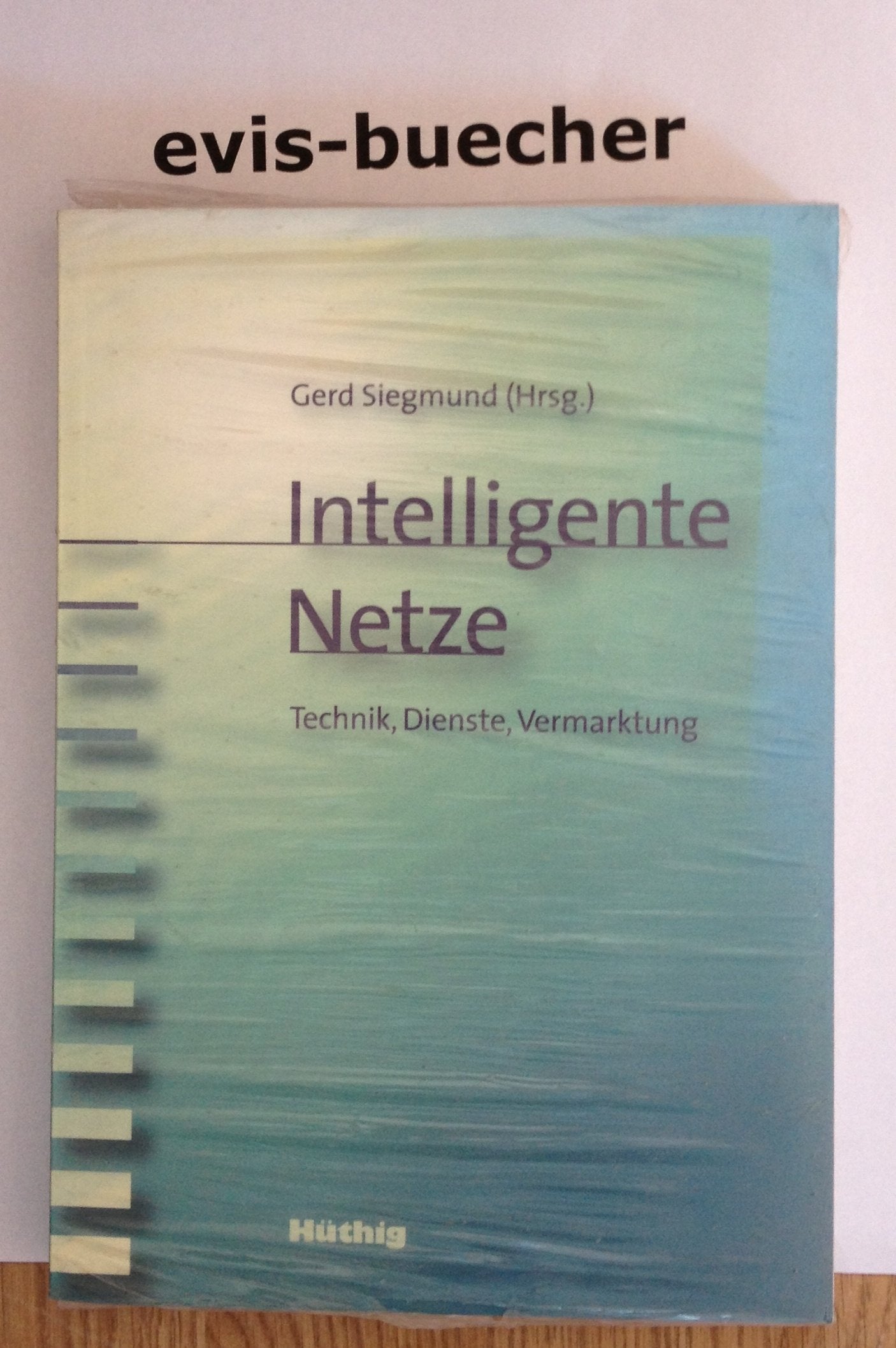 Intelligente Netze: Technik, Dienste, Vermarktung Business, Finance & Career