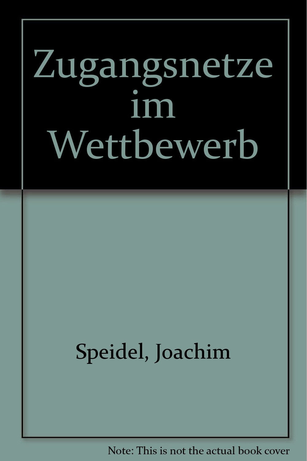 Zugangsnetze im Wettbewerb: Tagungsband Business & Technology