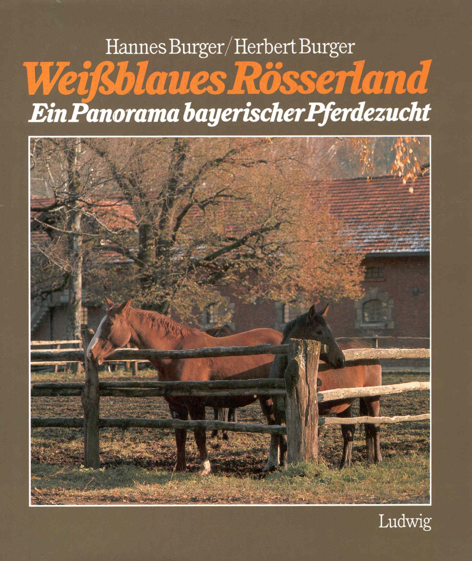 Weissblaues Rösserland. Ein Panorama bayerischer Pferdezucht General education