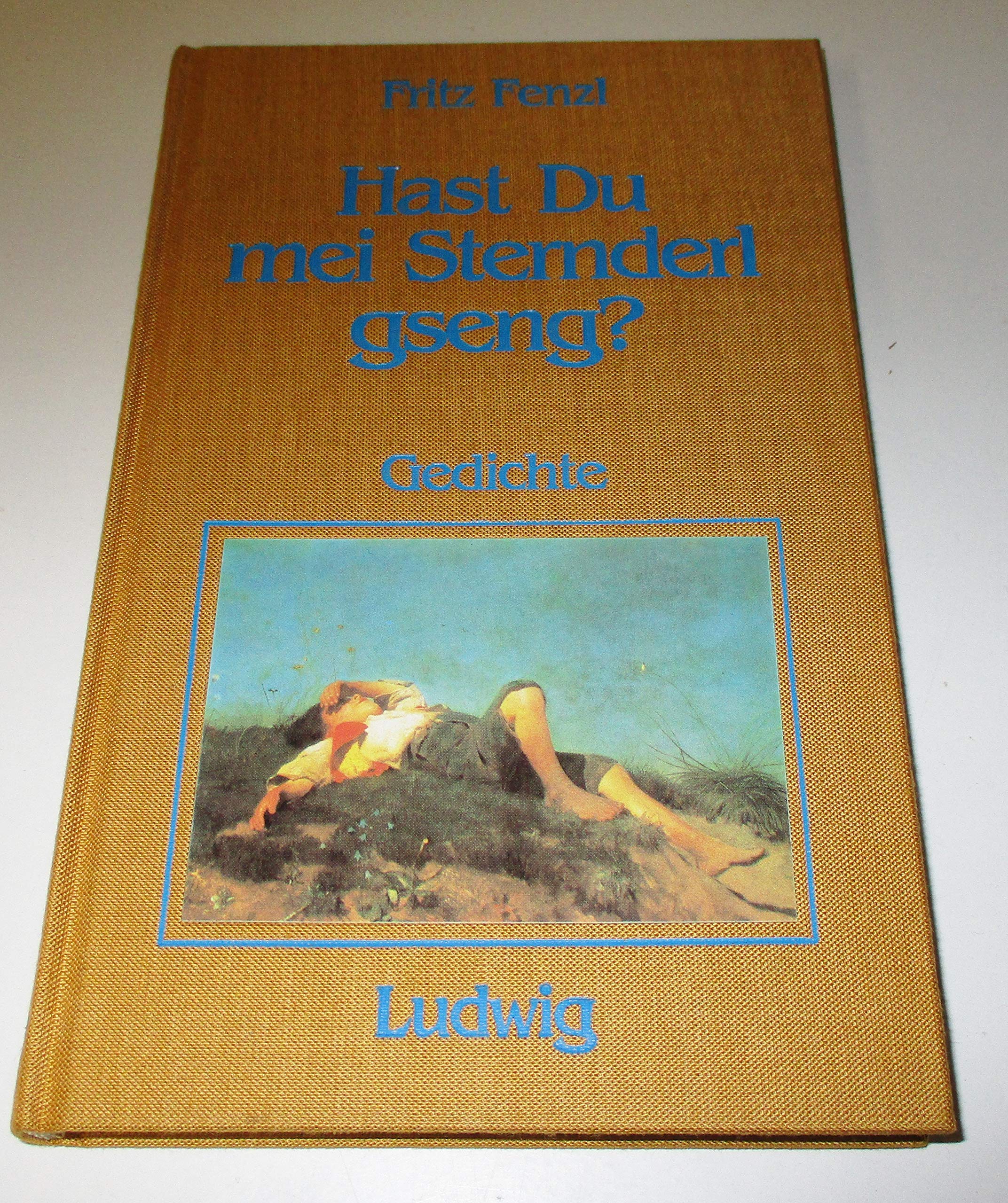 Hast du mei Sternderl geseng? Bayerische Gedichte Books