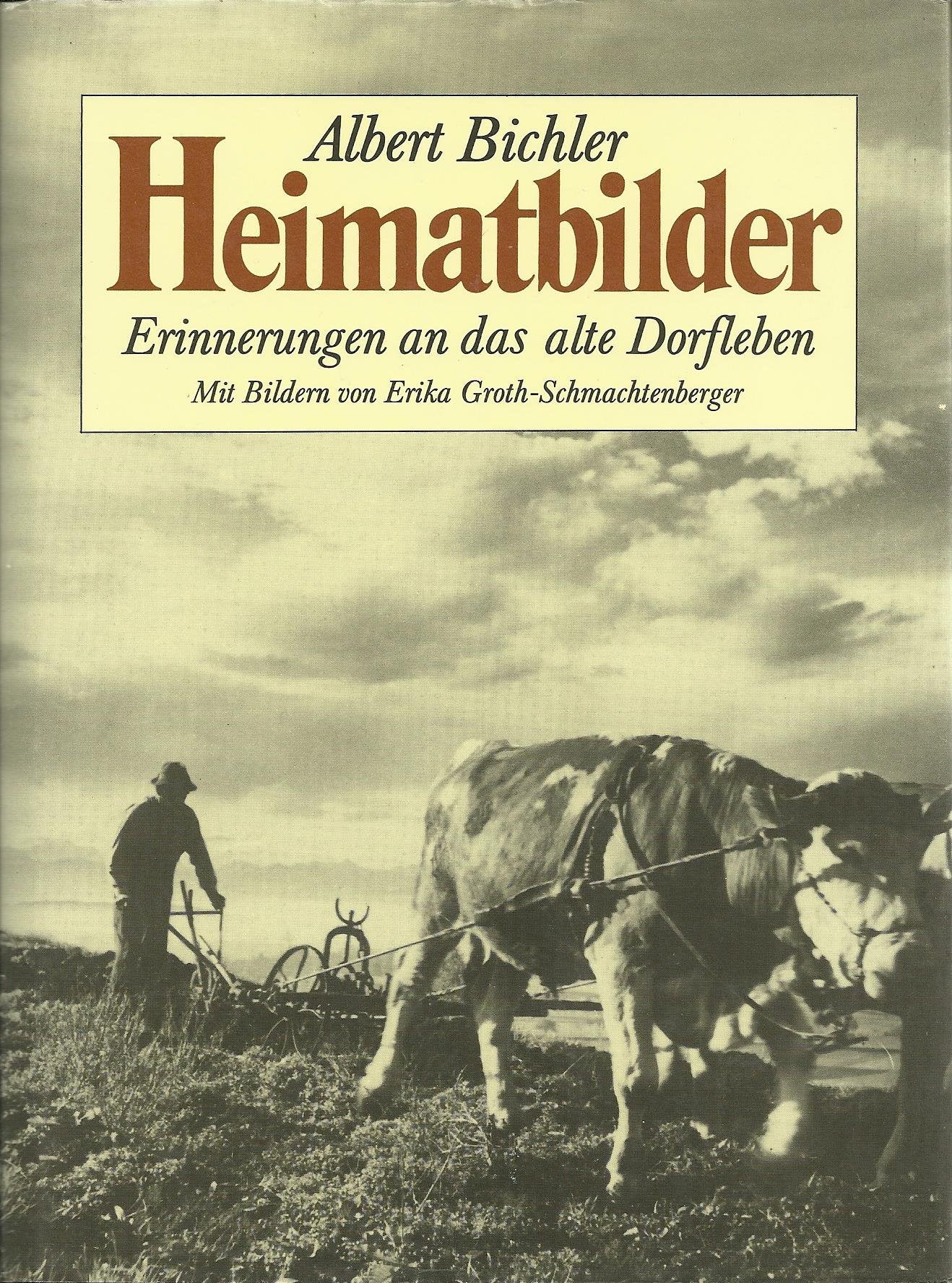 Heimatbilder. Erinnerungen an das alte Dorfleben Books