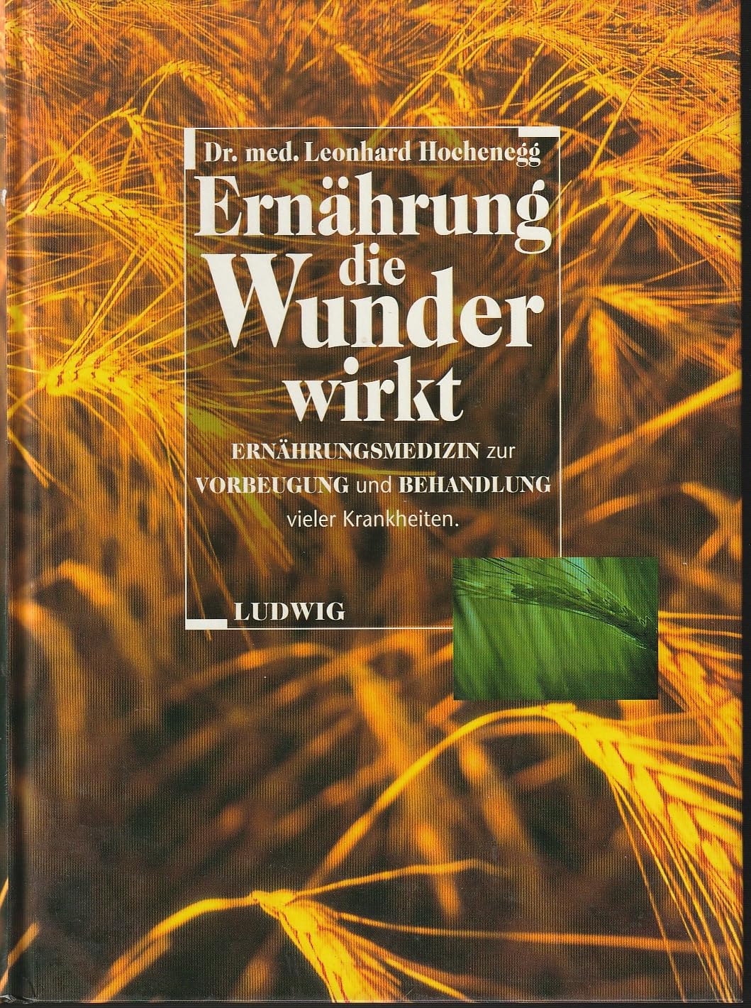 Ernährung, die Wunder wirkt: Ernährungsmedizin zur Vorbeugung und Behandlung vieler Krankheiten Books