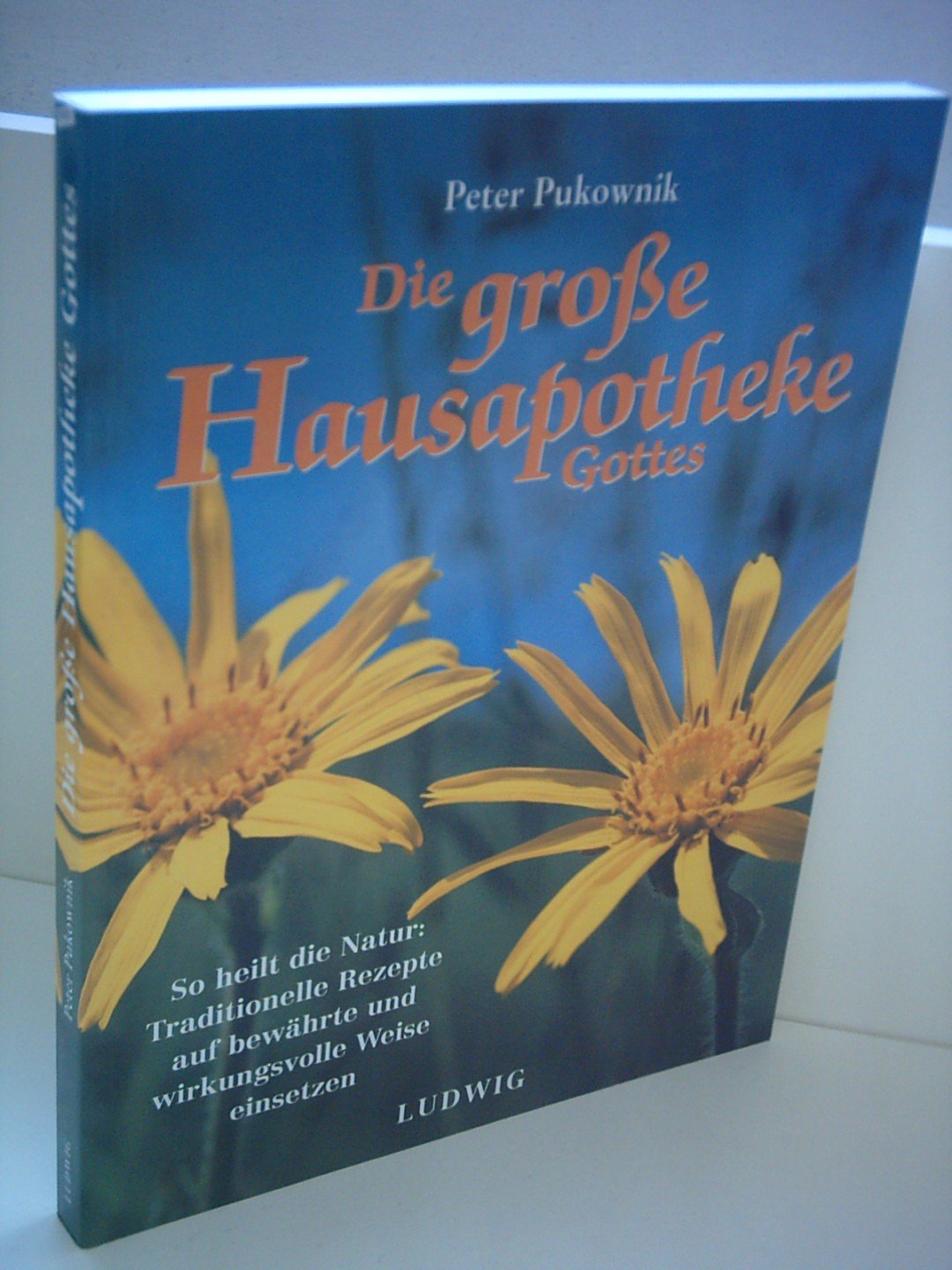 Die große Hausapotheke Gottes Business & Technology