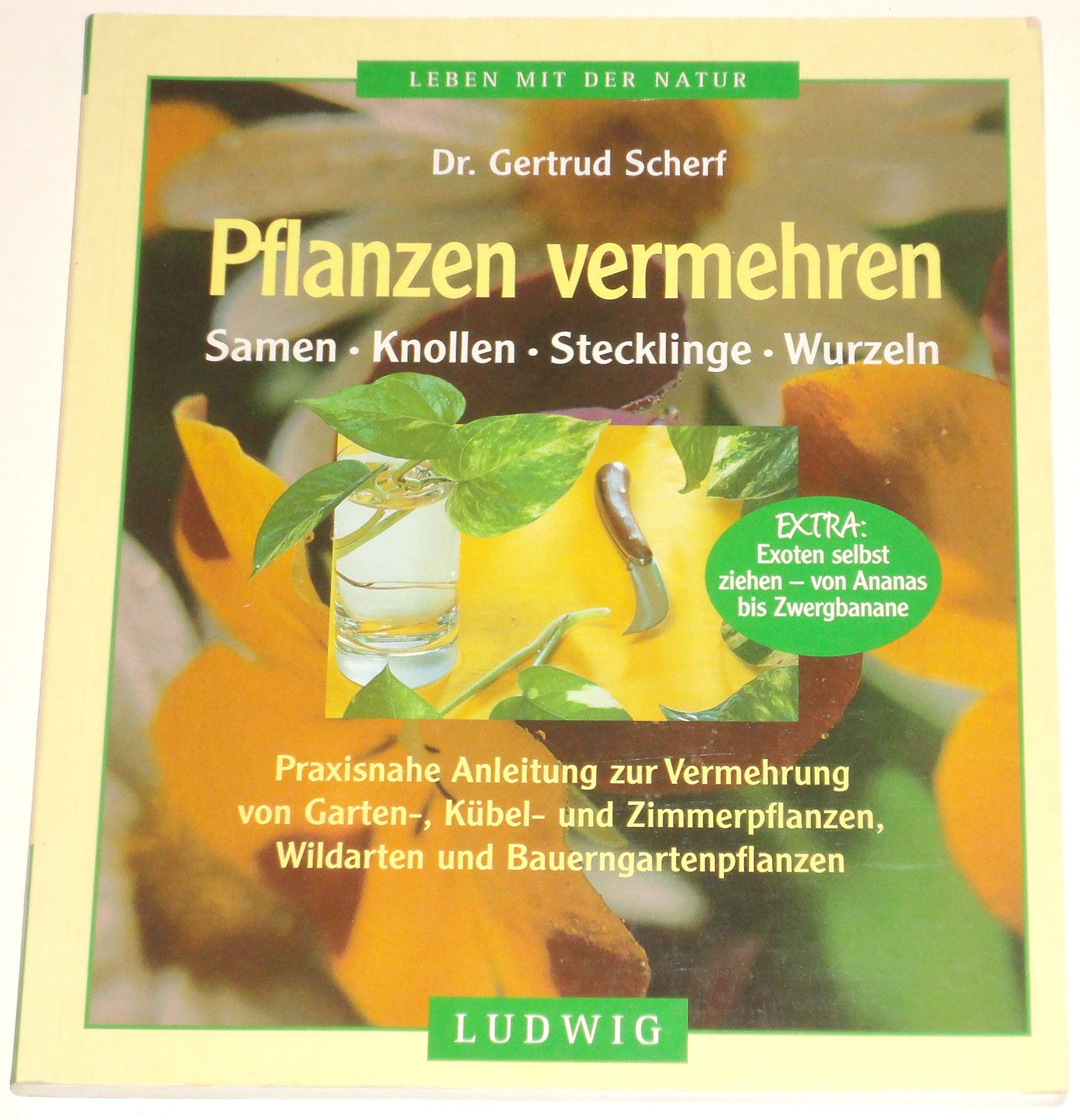 Pflanzen vermehren Garden & Plants