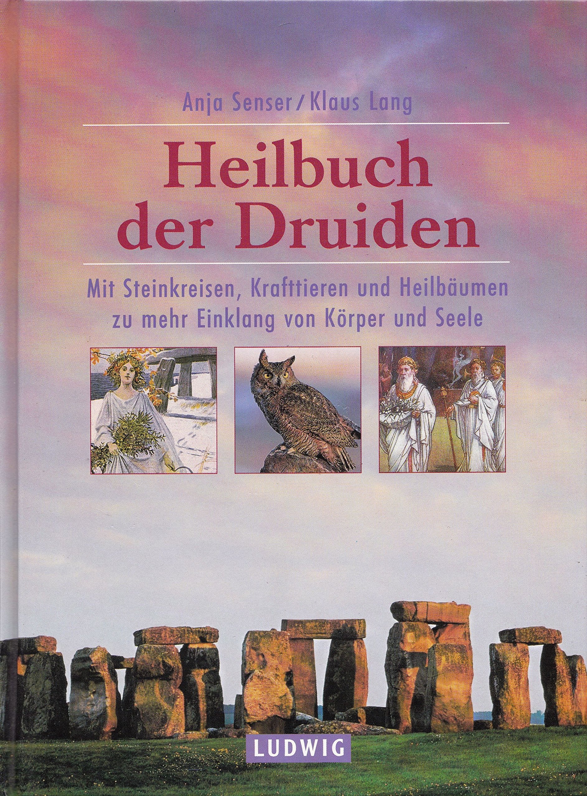 Heilbuch der Druiden Religion & Esotericism