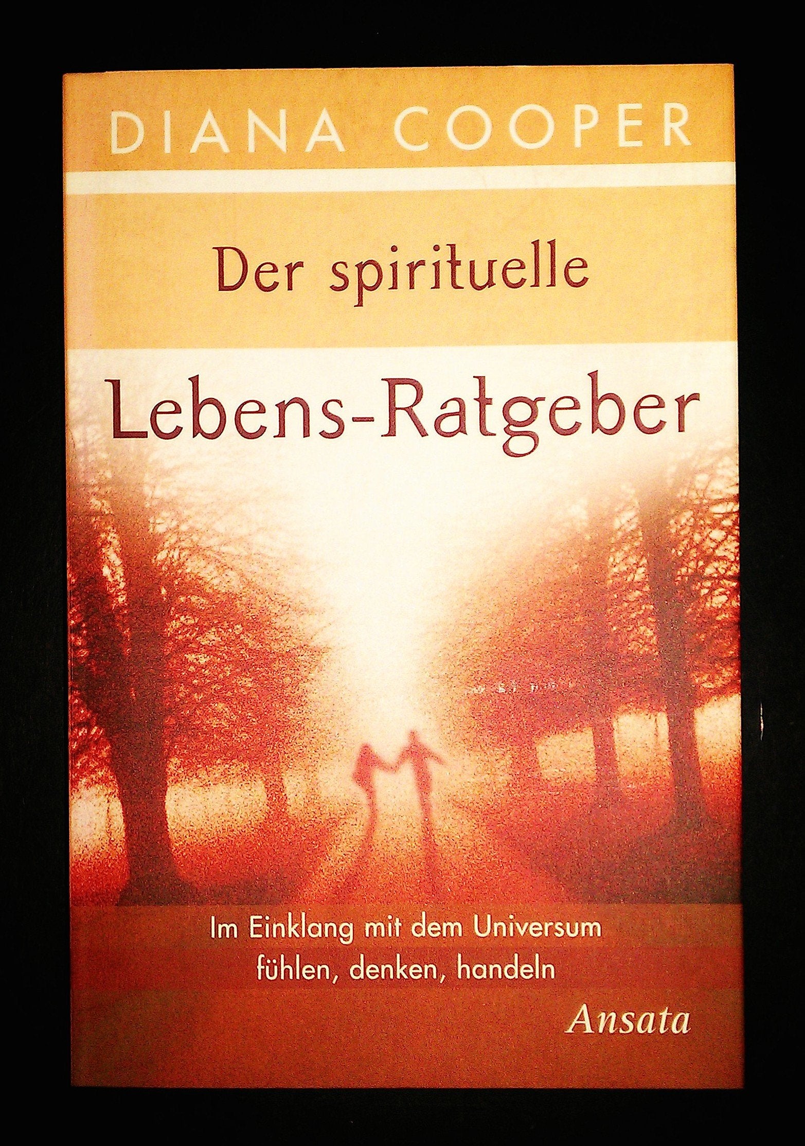 Der spirituelle Lebens-Ratgeber, Sonderausgabe Lifestyle