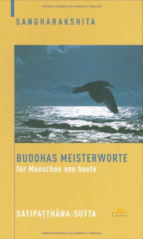 Buddhas Meisterworte für Menschen von heute: Satipatthana-Sutta Religion & Esotericism