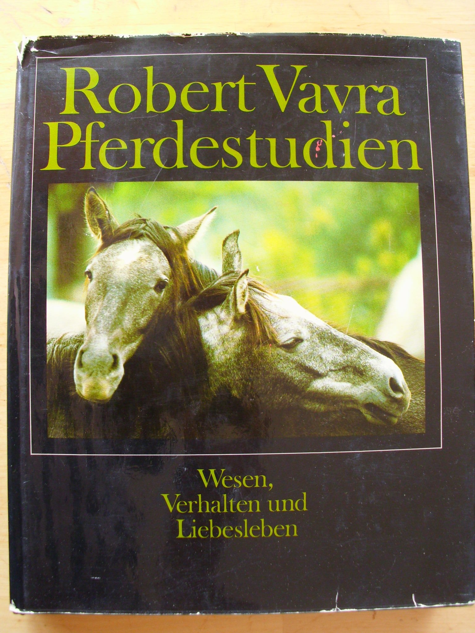 Pferdestudien.. Wesen, Verhalten, Liebesleben. Film, Art & Culture