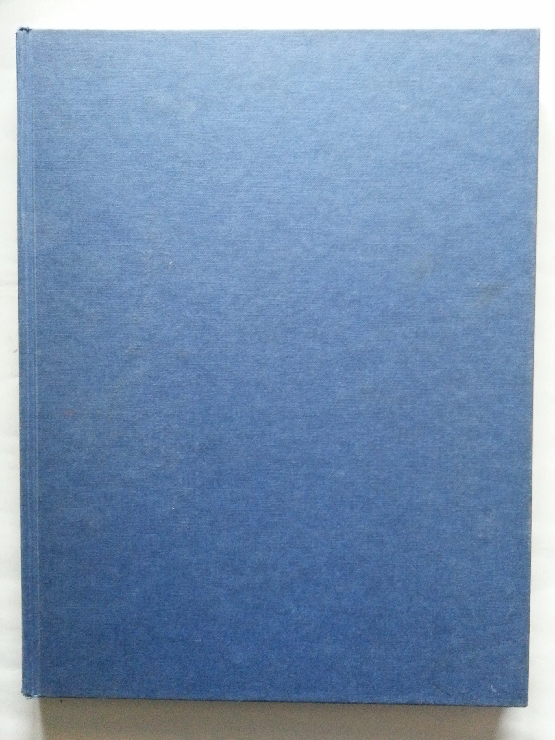 Malerei des Abendlandes - Klassische Moderne. Von Matisse bis Klee (Bd. 9) Philosophy