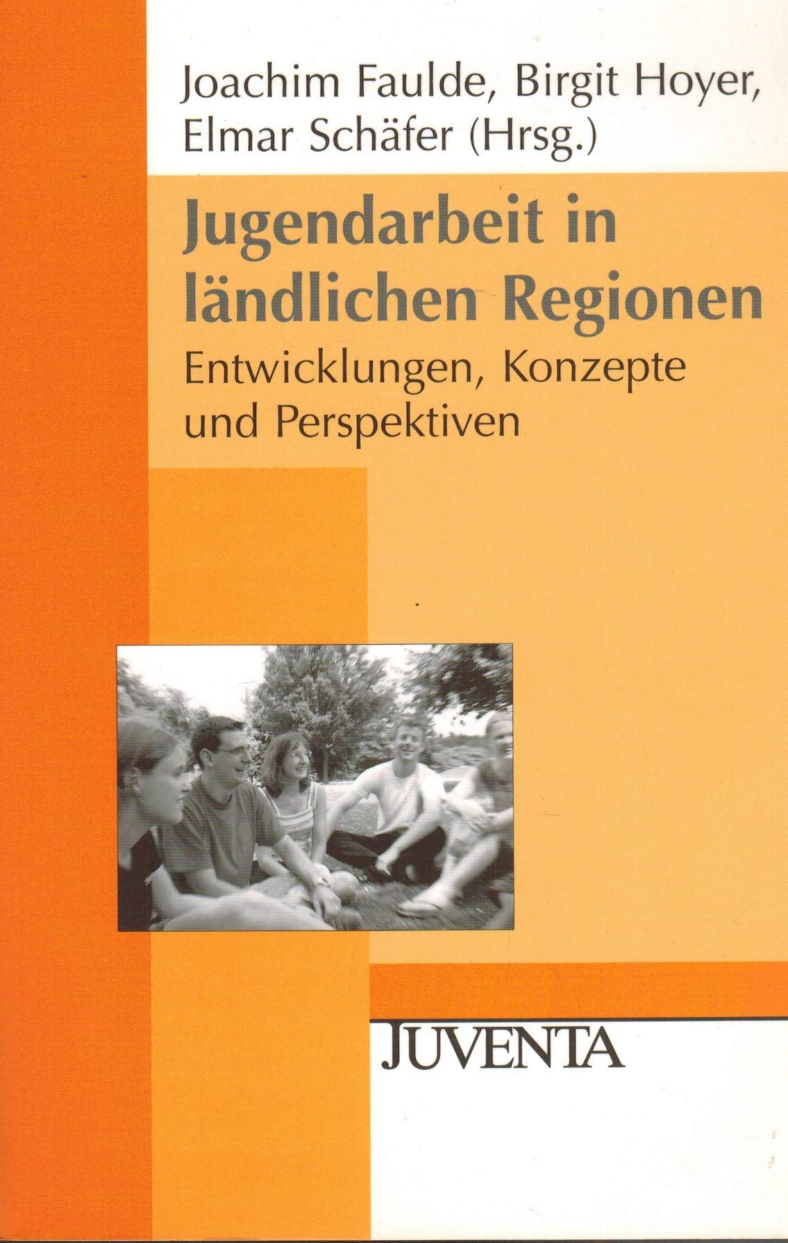 Jugendarbeit in ländlichen Regionen: Entwicklungen, Konzepte und Perspektiven (Juventa Paperback) Social Sciences Books