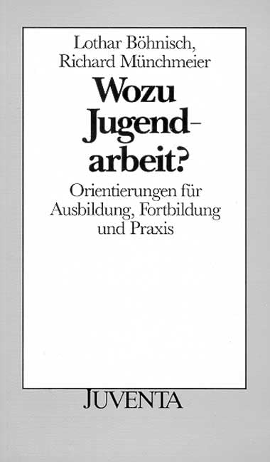 Wozu Jugendarbeit: Orientierungen für Ausbildung, Fortbildung und Praxis (Juventa Paperback) Social Sciences