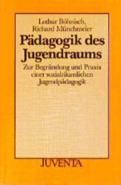 Pädagogik des Jugendraums Social Sciences