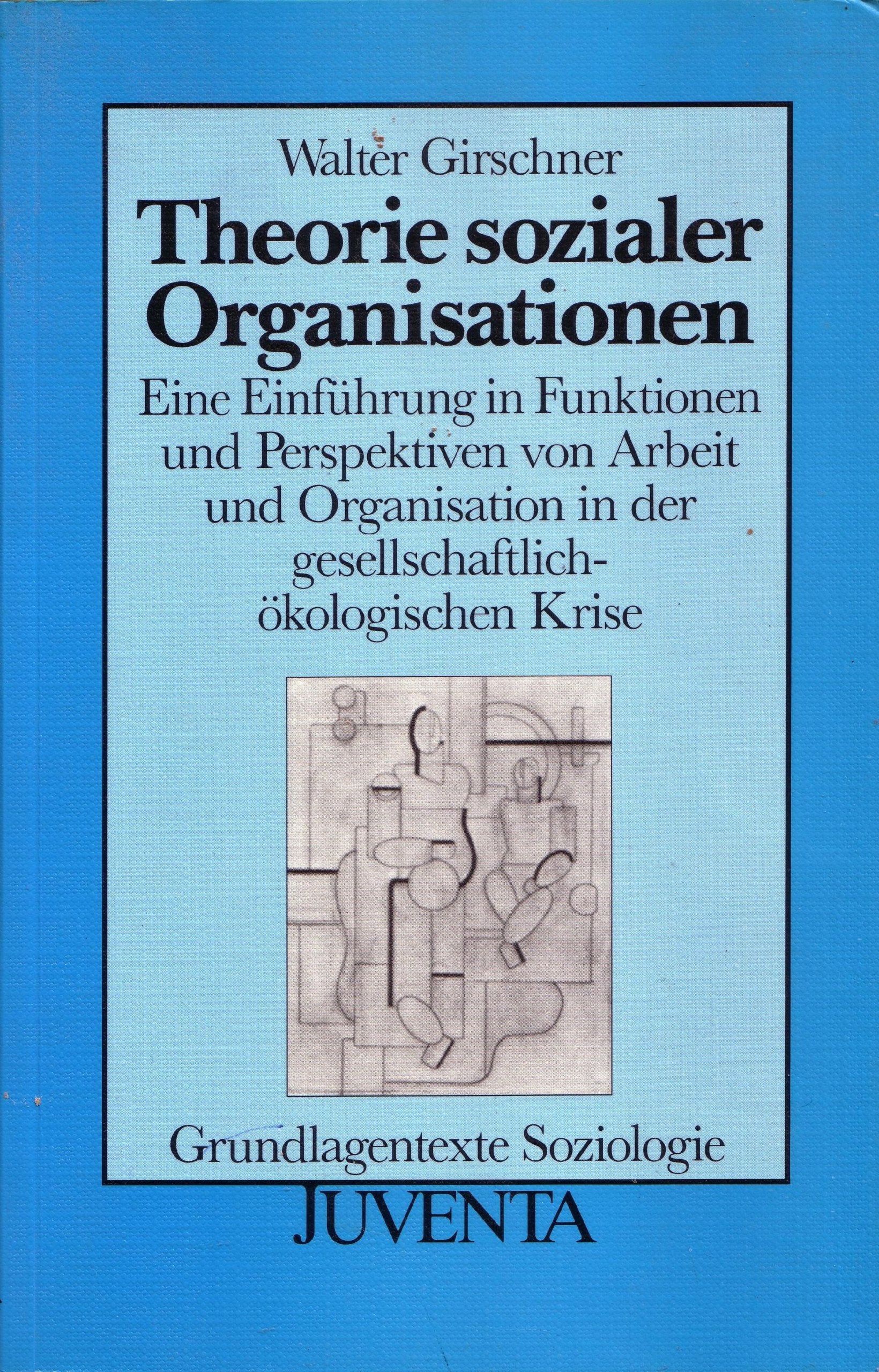Theorie sozialer Organisationen Business, Finance & Career