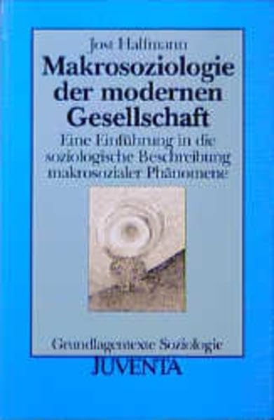 Makrosoziologie der modernen Gesellschaft Law