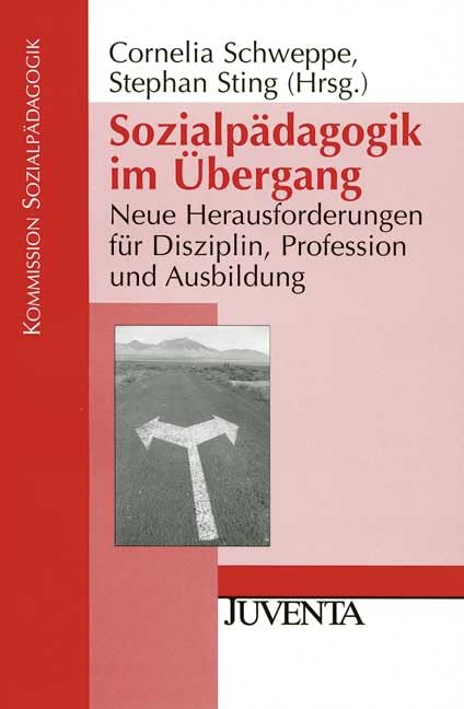 Sozialpädagogik im Übergang: Neue Herausforderungen für Disziplin, Profession und Ausbildung (Veröffentlichungen der Kommission Sozialpädagogik) Social Sciences