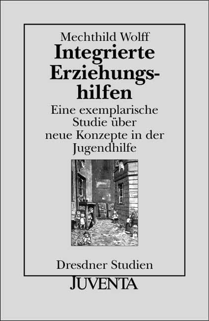 Integrierte Erziehungshilfen: Eine exemplarische Studie über neue Konzepte in der Jugendhilfe (Dresdner Studien zur Erziehungswissenschaft und Sozialforschung) Social Sciences