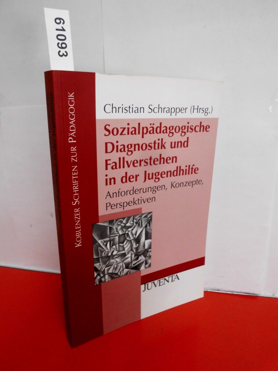 Sozialpädagogische Diagnostik und Fallverstehen in der Jugendhilfe: Anforderungen, Konzepte, Perspektive (Koblenzer Schriften zur Pädagogik) Social Sciences