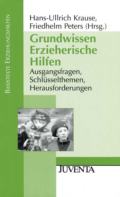 Grundwissen Erzieherische Hilfen: Ausgangsfragen, Schlüsselthemen, Herausforderungen. (Basistexte Erziehungshilfen) Social Sciences