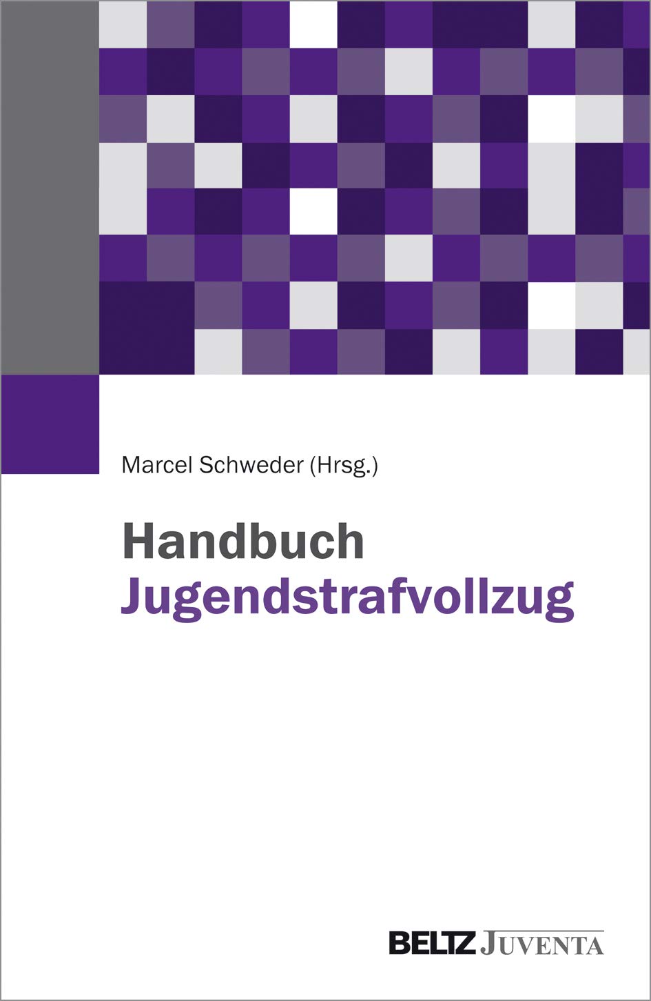 Product Image: Handbuch Jugendstrafvollzug