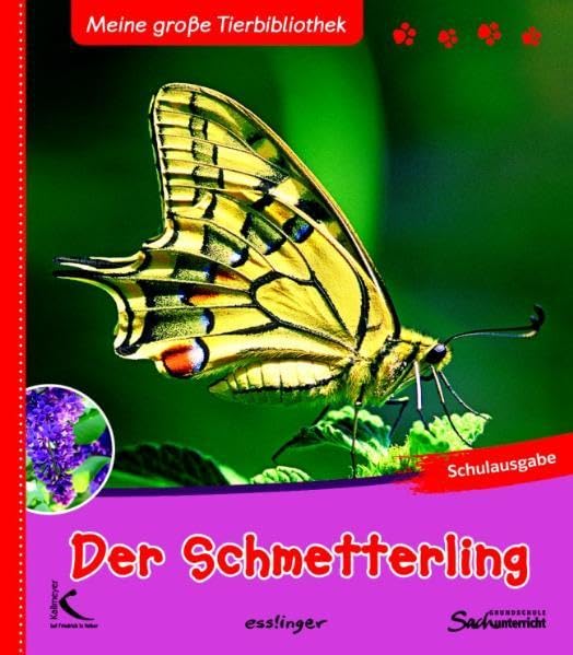 Der Schmetterling: Meine große Tierbibliothek Non-fiction
