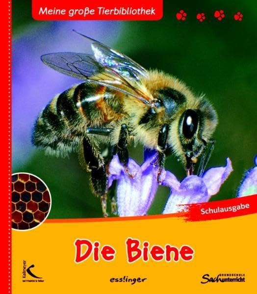 Die Biene Non-fiction books for kids
