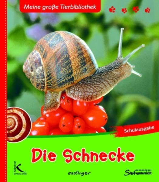 Product Image: Die Schnecke