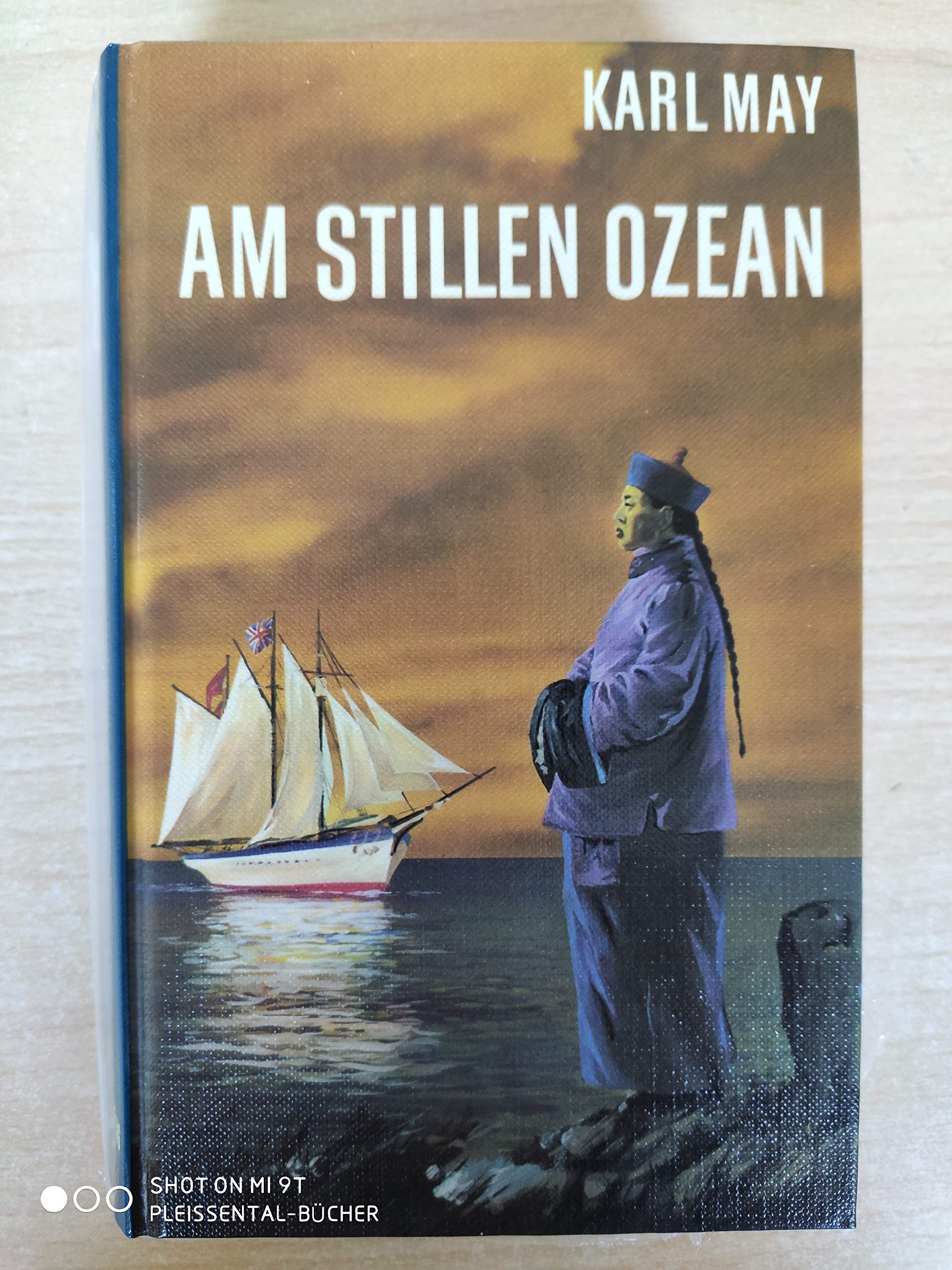 Am Stillen Ozean. Reiseerzählungen Books