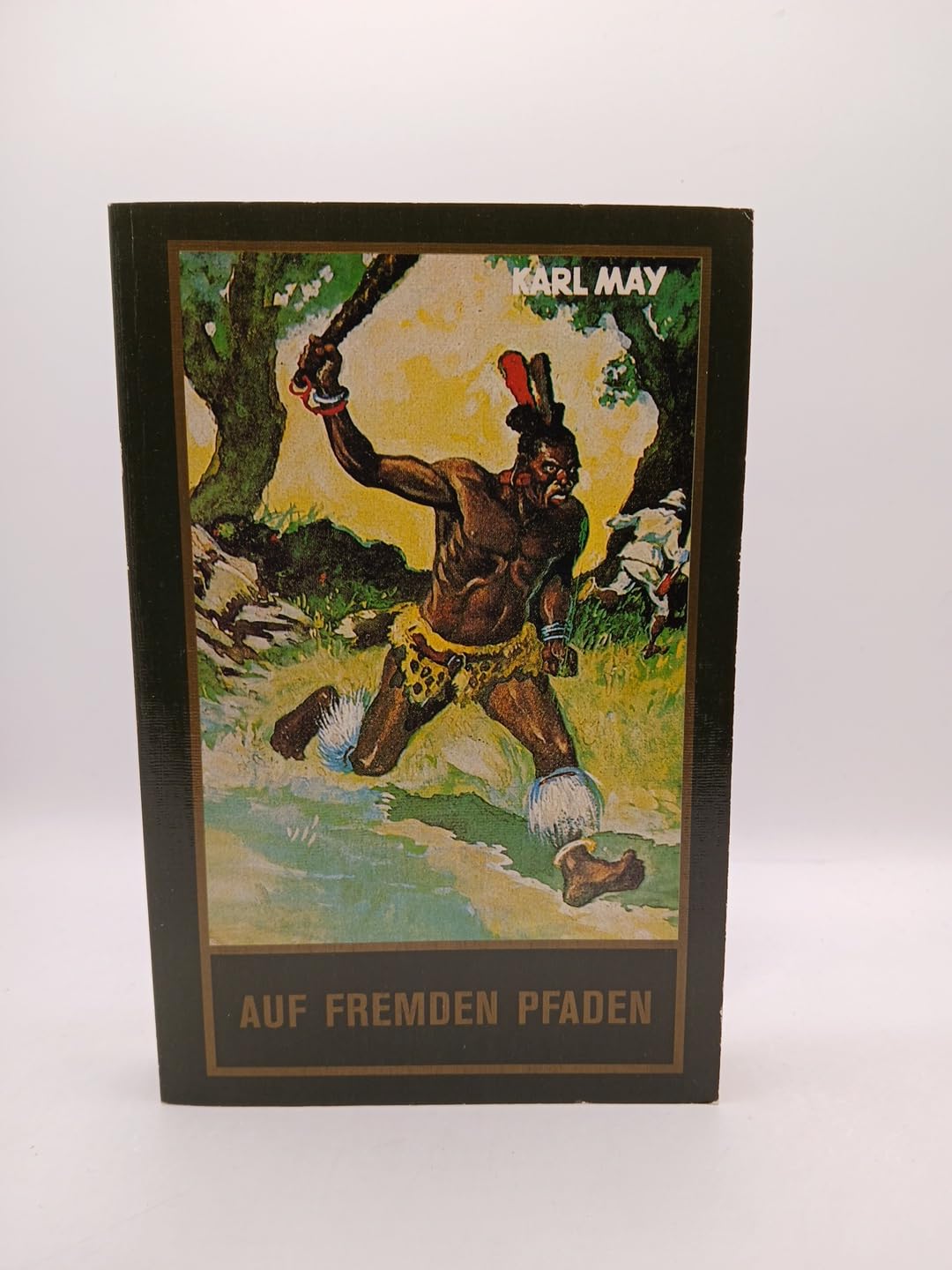 Auf fremden Pfaden (Karl May, Reiseerzhlungen) by May, Karl Books