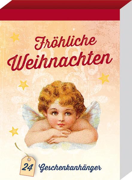 Fröhliche Weihnachten: 24 Geschenkanhänger book