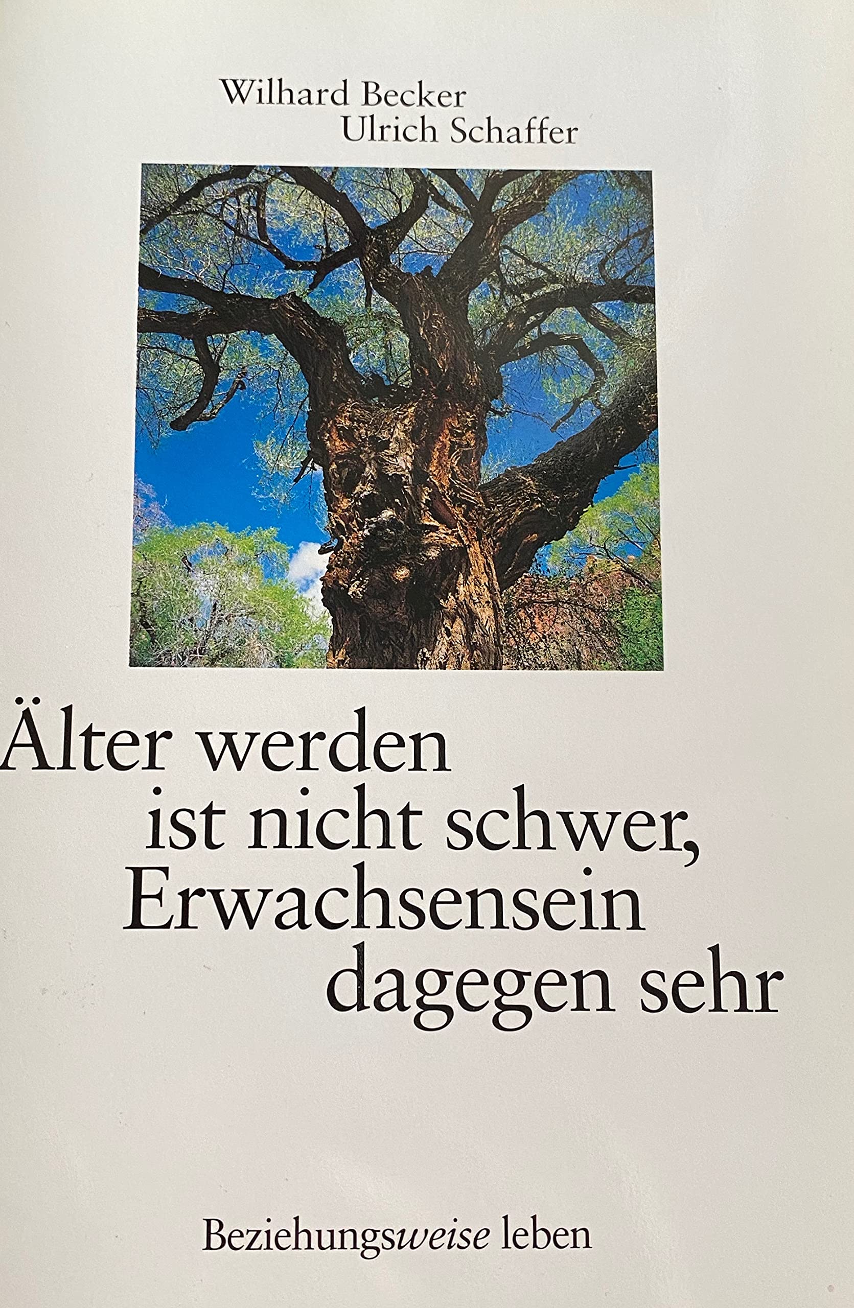 Älter werden ist nicht schwer, Erwachsensein dagegen sehr (Selbstfindungen) Books