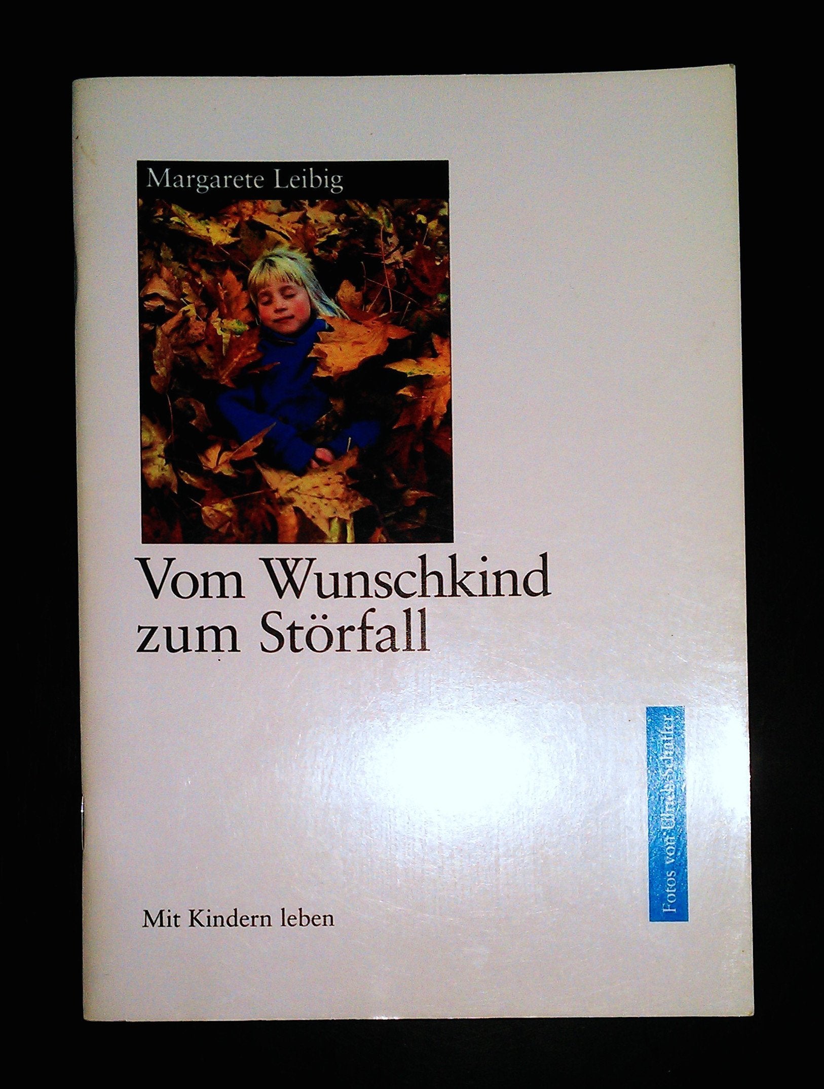 Vom Wunschkind zum Störfall. Mit Kindern leben Books