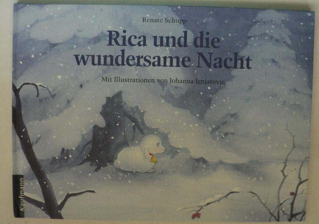 Rica und die wundersame Nacht Non-fiction