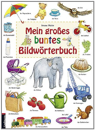 Mein großes buntes Bildwörterbuch Non-fiction